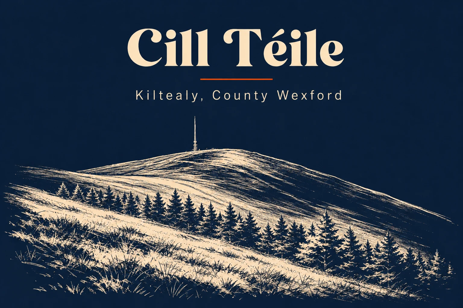 Kiltealy, Co. Wexford